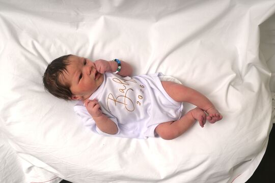 Pisani Aurelio Egidio m Z&auml;ziwil 28 03 2026